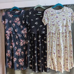 Bearsland Nursing Dresses (Set Of 3)